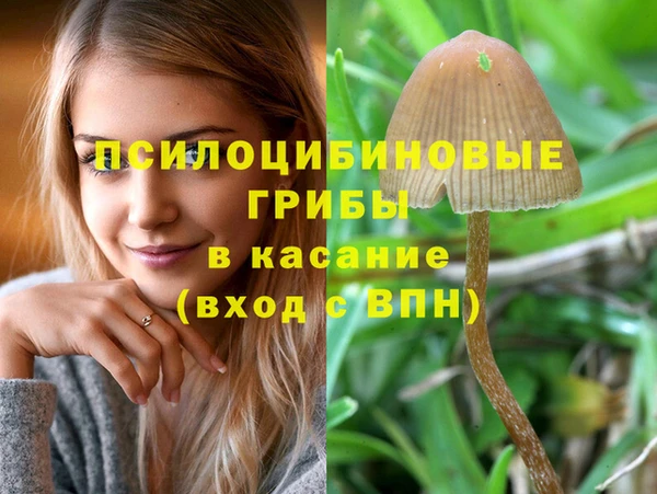 бошки Вязники