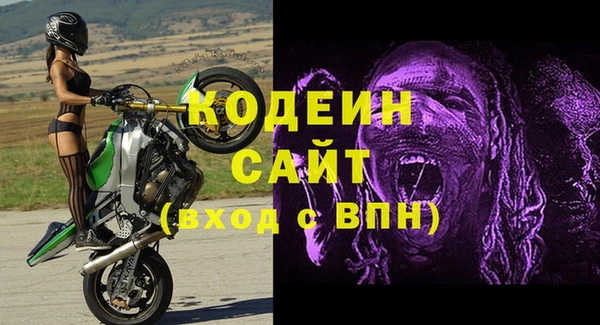 дурь Вяземский