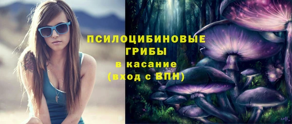 дурь Вяземский